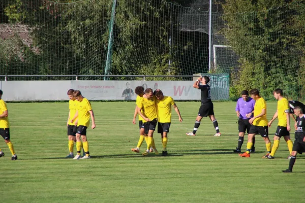 TSV Eisingen - FC Viktoria Mömlingen