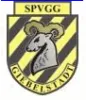 SpVgg Giebelstadt (N)