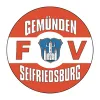 FV Gem/Seifriedsbg