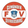 FV Gemünden/Seifriedsburg