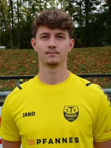 Louis Weber