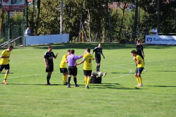 TSV Eisingen - FC Viktoria Mömlingen