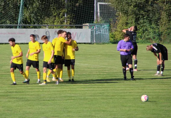 TSV Eisingen - FC Viktoria Mömlingen