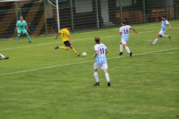 TSV Eisingen - TG Höchberg