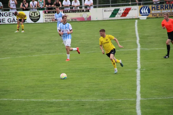 TSV Eisingen - TG Höchberg