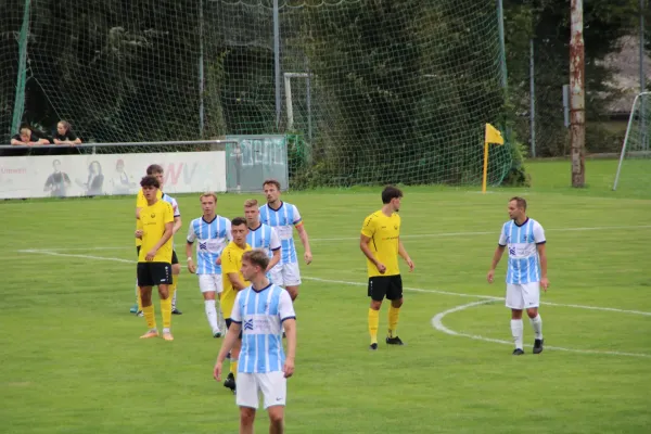 TSV Eisingen - TG Höchberg