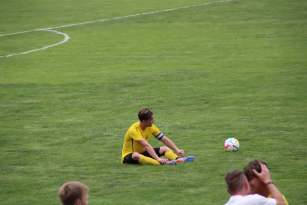 TSV Eisingen - TG Höchberg