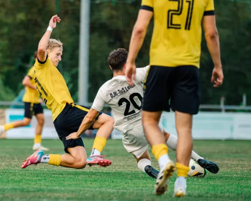 TSV Eisingen - TuS Aschaffenburg-Leider