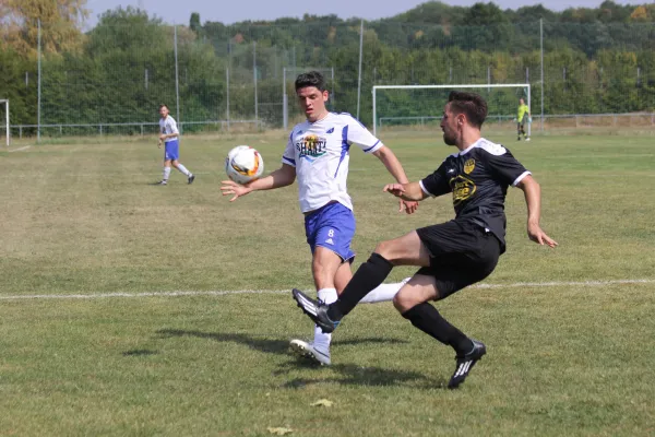 09.08.2015 TSV Eisingen 1891 vs. TSV Biebelried